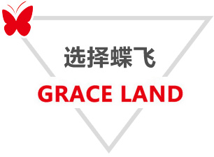 选择蝶飞